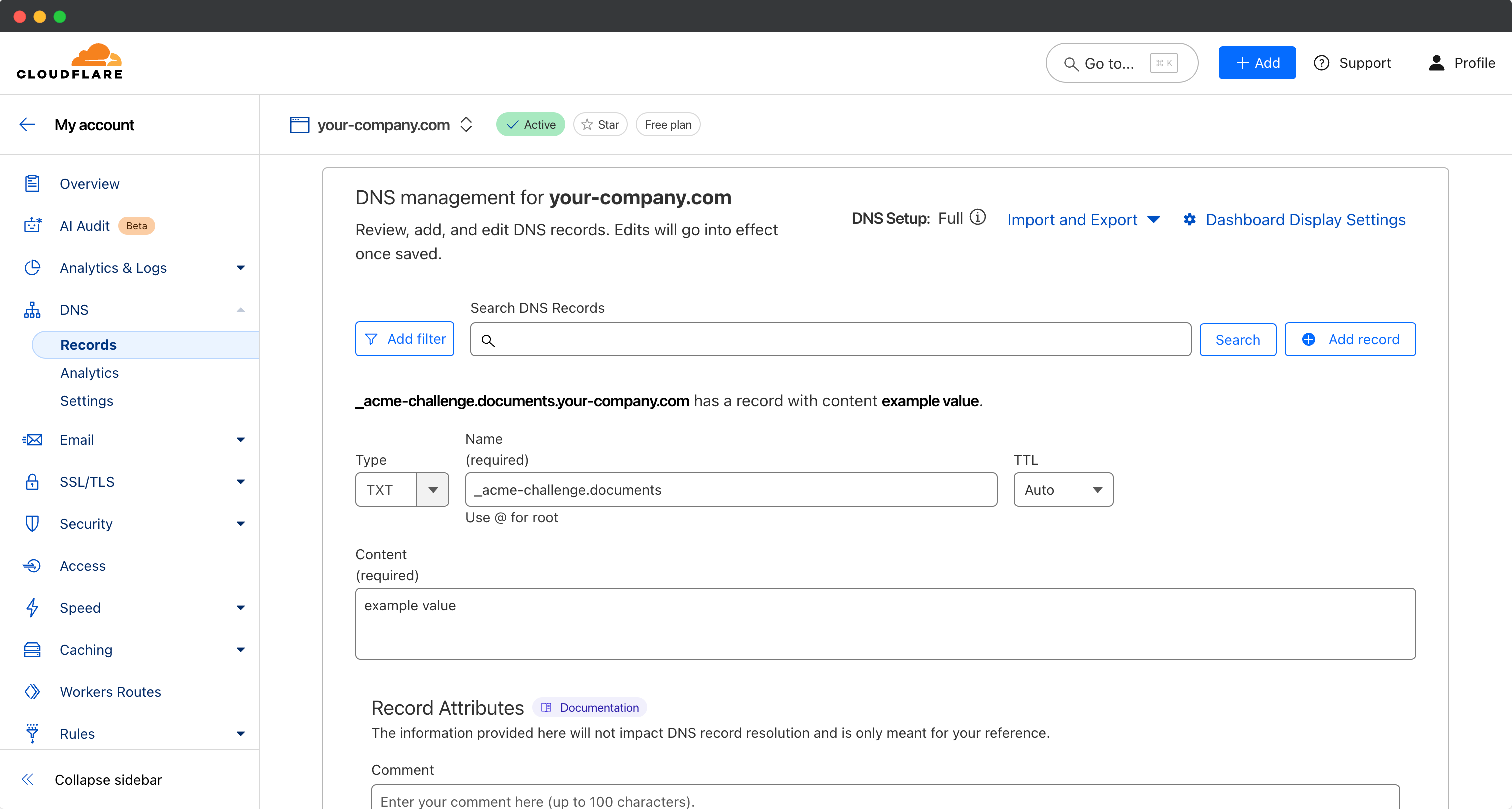 Cloudflare DNS Provider TXT settings example